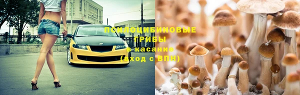 герыч Богданович