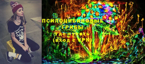 a pvp Белокуриха